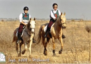 Endurance Riding