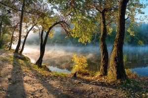 Ніжний ранковий світло CC BY-SA 3.0 Balkhovitin 